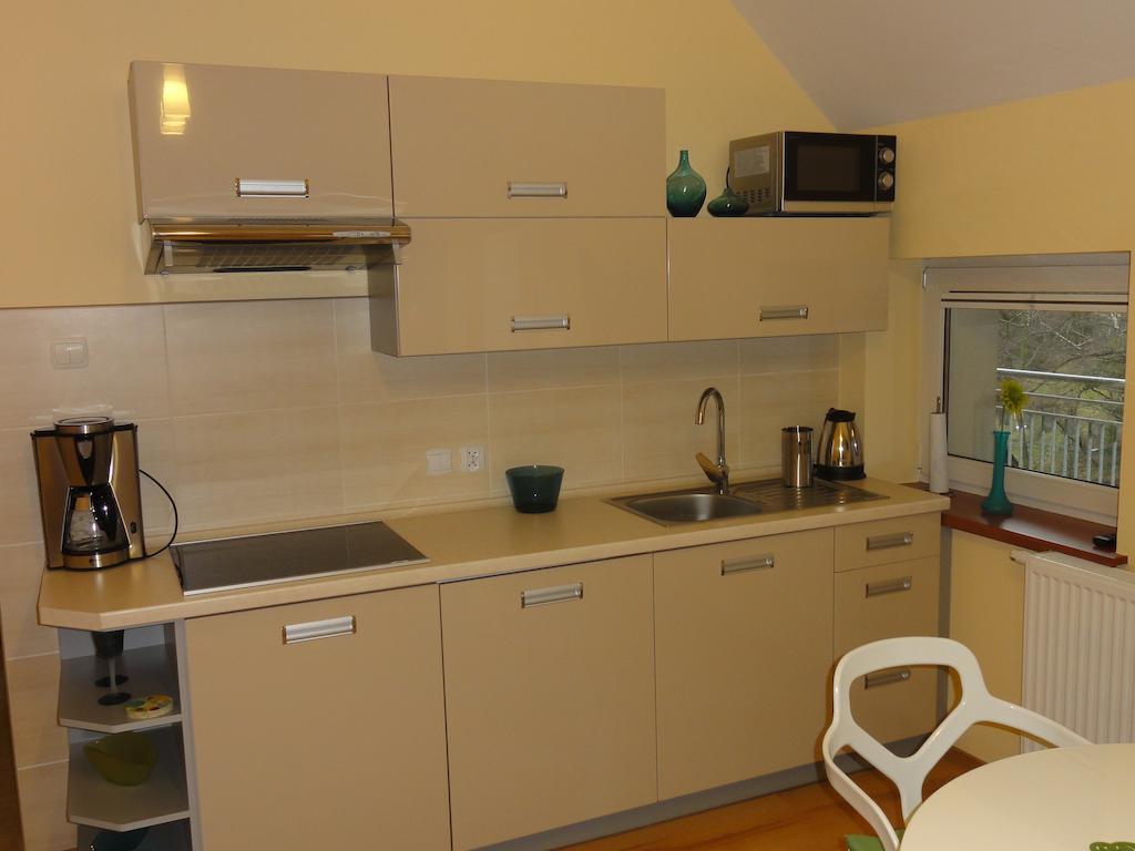 Апартаменти Apartament Bukowa Вісла Номер фото
